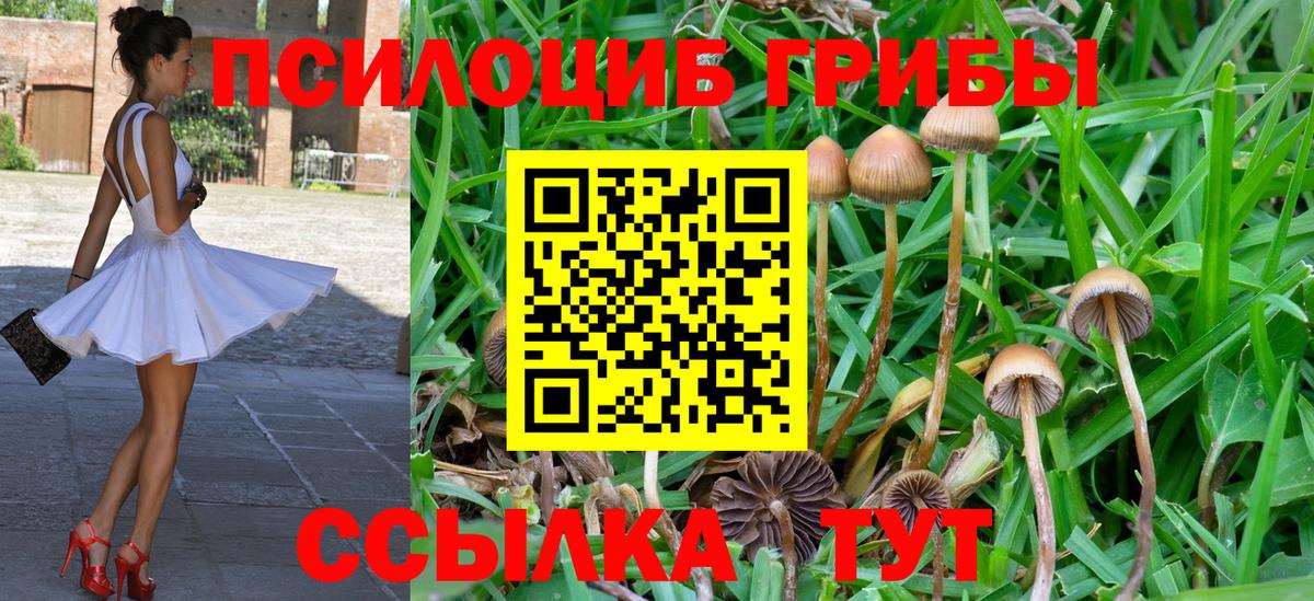 Галлюциногенные грибы ЛСД Хабаровск