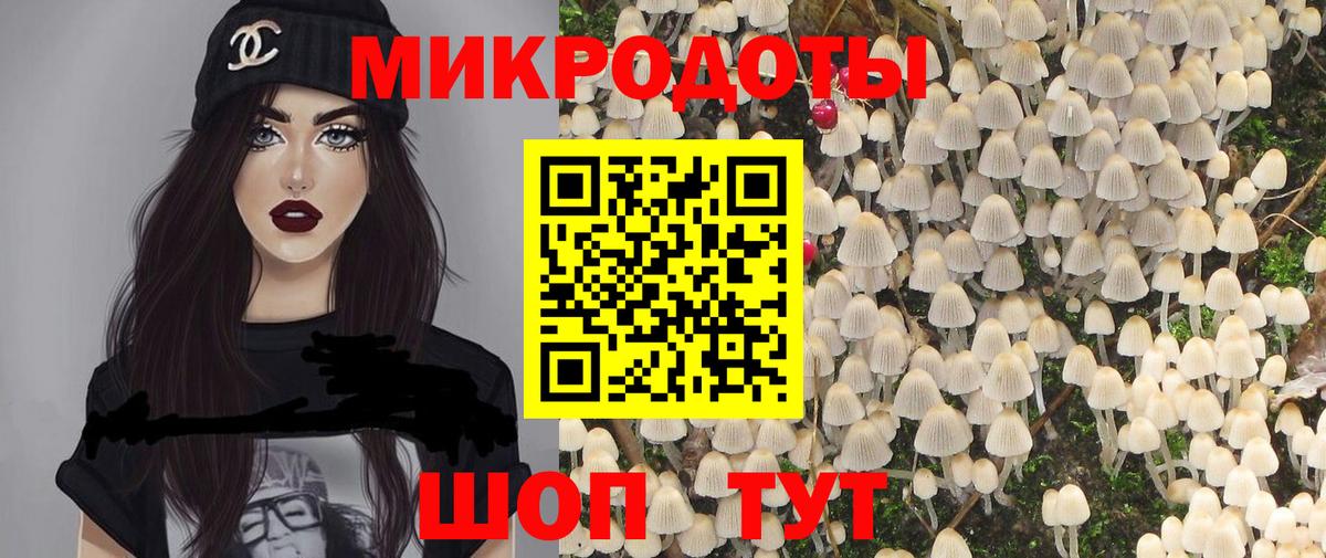 Хабаровск  Галлюциногенные грибы Psilocybe  купить  цена  Вход с VPN 